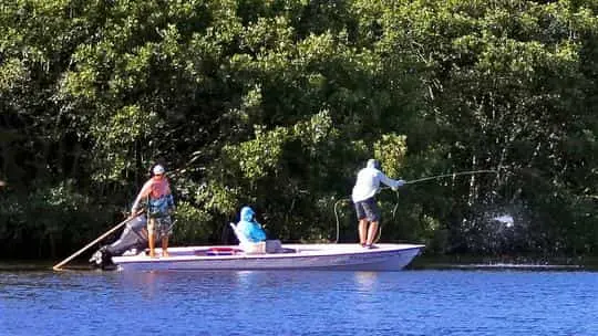 Mangrove King Fishing Lodge